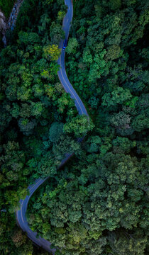 Forest road background with cars green energy and eco friendly transport