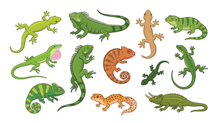 Lizard and tropical reptile cartoon character set. Green iguana, striped chameleon, spotted leopard gecko, anole, newt and salamander wildlife vector illustrations. © Mahamuda Studio 