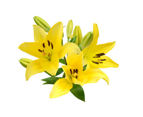 Obraz premium A lily flower decorating on white