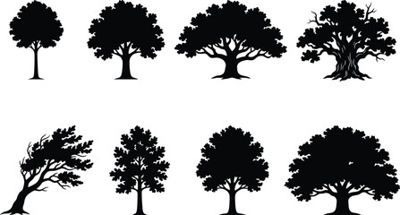 Set of tree silhouette vector illustrations featuring upright rounded crowns, spreading branches, leaning forms, and irregular dense canopies © MstMostarina