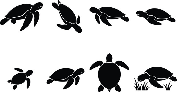 Set of turtle silhouette vector illustrations featuring swimming, crawling, resting, top‑view, extended flippers, tucked limbs, and grass scenes