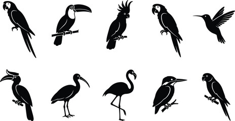 Bird silhouette collection featuring parrot, toucan, cockatoo, hummingbird, hornbill, ibis, flamingo, kingfisher, diverse avian species © MOSTSHAHANAJ