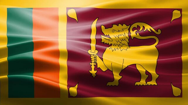 Golden Lion Emblem on Vibrant Gradient Flag Background with Abstract Waves