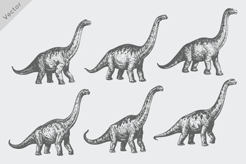 Hand drawn sketch dinosaurs set isolated Vector illustration. Vintage Trex study in ink, Dynamic ink hand-drawn sketch of Trex head and stance, Exaggerated ink portrayals of Trex © SAGOR