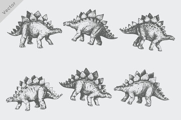 Hand drawn sketch dinosaurs set isolated Vector illustration. Vintage Trex study in ink, Dynamic ink hand-drawn sketch of Trex head and stance, Exaggerated ink portrayals of Trex © SAGOR