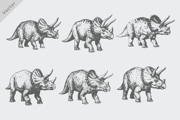Triceratops Dinosaur Vintage collection various style illustrations.  Hand-drawn retro engraving style Dinosaur vector © SAGOR