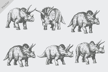 Vintage Dinosaur collection various style illustrations.  Hand-drawn retro engraving style Dinosaur vector © SAGOR
