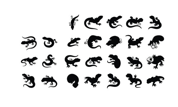 Set of various lizard silhouettes