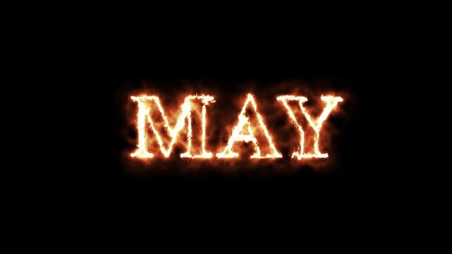May month text neon sign glowing animation with fire. Calendar of january month 4k stock video......