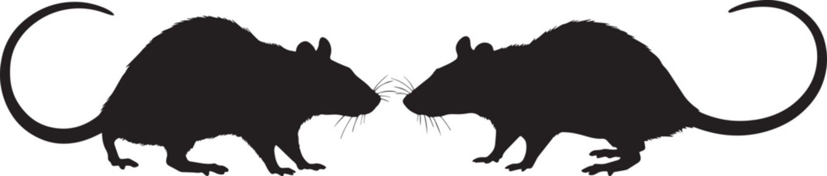 Pair of rat silhouettes facing each other, black rodent vector illustration design, isolated wildlife animal graphic for branding projects