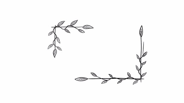 Hand drawn simple line frames and floral doodle borders collection minimal isolated design elements