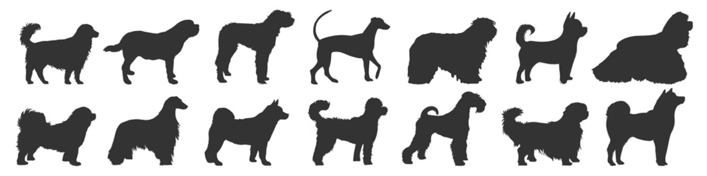 Vector silhouettes of various dog breeds in different poses.
