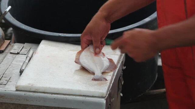 Close-up of a fisherman's hands preparing and cleaning a fresh flatfish on a cutting board.