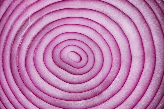 Red onion sliced revealing concentric rings in closeup