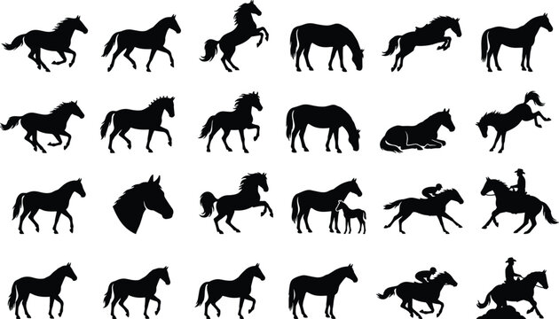 Large collection of horse silhouettes featuring running, jumping, galloping, and rearing stallions, equine portraits, racehorses, cowboys, and mares with foals