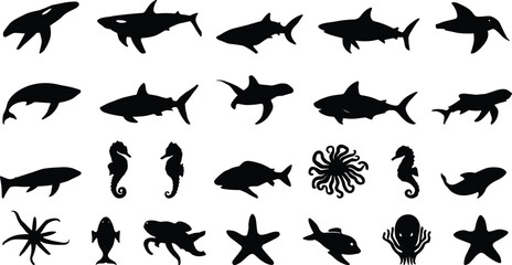 Set of ocean wildlife silhouettes featuring sharks, killer whales, seahorses, starfish, octopus, and various marine fish graphic vectors © Mst Shamima