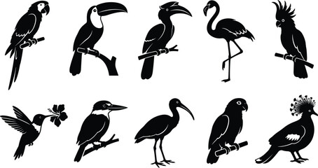 Bird silhouette collection featuring parrot, toucan, hornbill, flamingo, cockatoo, hummingbird, kingfisher, ibis, crowned pigeon, diverse avian species © Sabbir's World