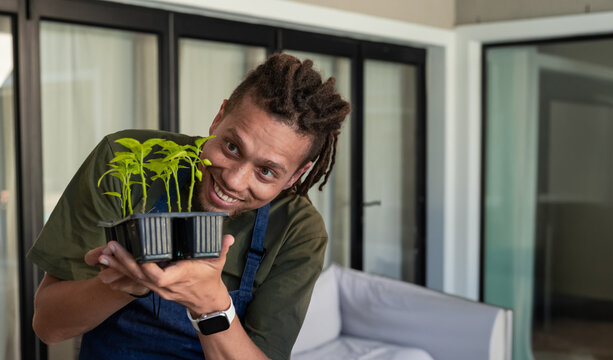 African American man holding seed tray, leaning and smiling in sunroom, denim apron smartwatch