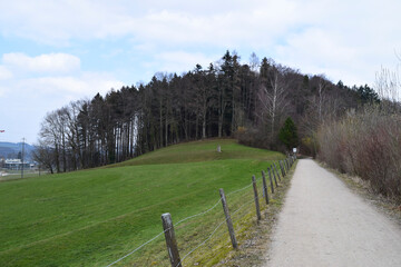 Fototapeta premium Countryside path leading through green fields to forest