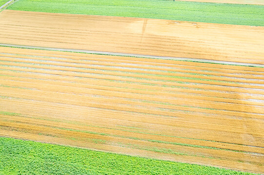 Drone perspective of straw field showing graphic parallel patterns The Concept of precision farming and technology