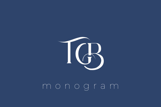 TWB Elegant Monogram Logo Design With Decorative Lettering