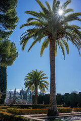 Fototapeta premium Historic courtyard and gardens of the Alhambra Palace in Granada, Andalusia, Spain