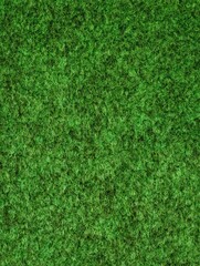Fototapeta premium Close-up textured green grass surface filling frame