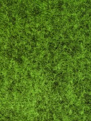 Fototapeta premium Close-up of lush green grass texture