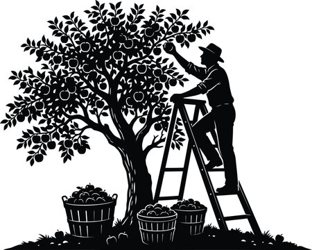 Apple tree with farmer picking fruit black silhouette on white background