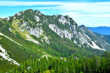 Fototapeta premium Forest covered alpine valley at Vršič in Julian alps, Gorenjska, Slovenia