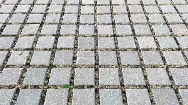 Concrete paving stones creating a grid pattern with grass growing between the blocks
