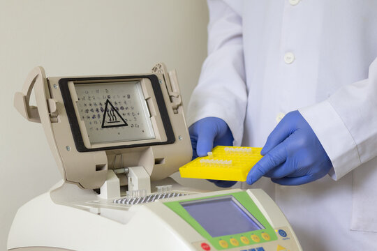 A scientist in a white coat holds a yellow rack with small Eppendorf tubes, which are installed in the cells of a PCR machine.