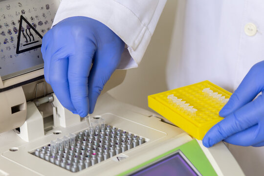 A scientist places a small Eppendorf tube with a DNA sample into a PCR machine.
