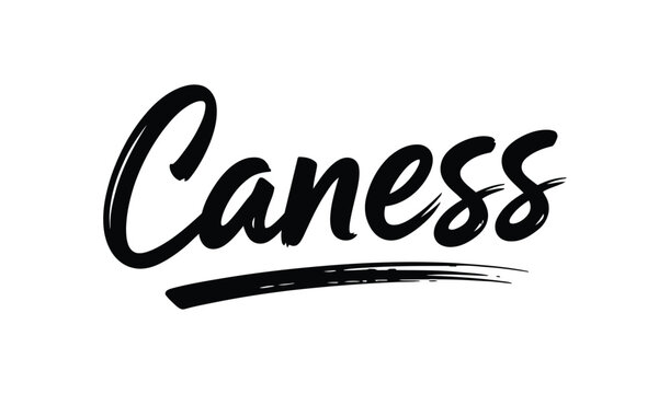 Caress phrase handwritten typography, elegant vector script lettering featuring cursive calligraphy quote text design for branding, apparel, greeting cards, social media, and decorative projects