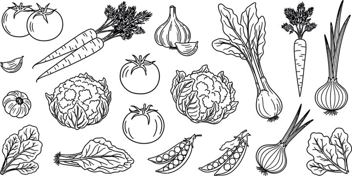 Detailed black and white line art illustration of various garden vegetables, perfect for culinary, health, or organic farming related designs. Isolated on transparent background.