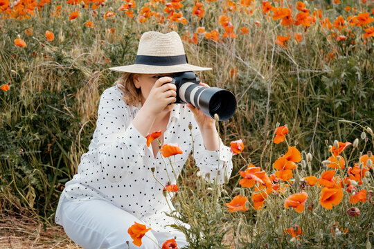 Focused woman photographer in straw hat holding professional camera in blooming poppy field. Content creation, artistic scouting, red floral background and commercial stock production.