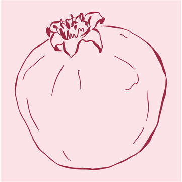 hand drawn vector illustration of a single whole pomegranate fruit. Featuring clean line art with a crown detail on a soft background, perfect for simple patterns, logos, and autumn designs.