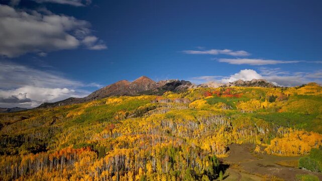 Golden aspen trees covering Colorado mountains in autumn
