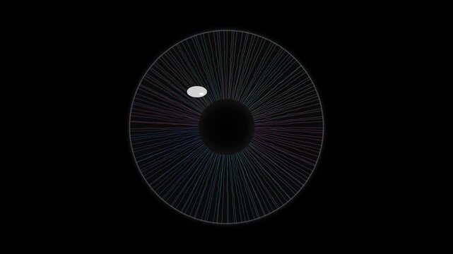 The design shows a circular shape resembling an eye