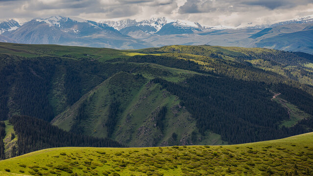 Landscape Kazachstan, ASSI, mountain, trees, green, clubs, trevel, 