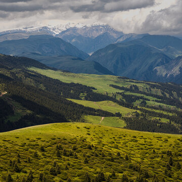 Landscape Kazachstan, ASSI, mountain, trees, green, clubs, trevel, 