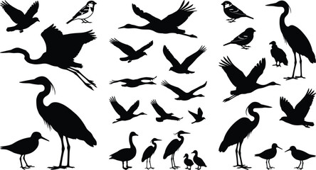 Obraz premium Collection of Flying and Standing Bird Silhouettes Vector Elements Isolated on White Background