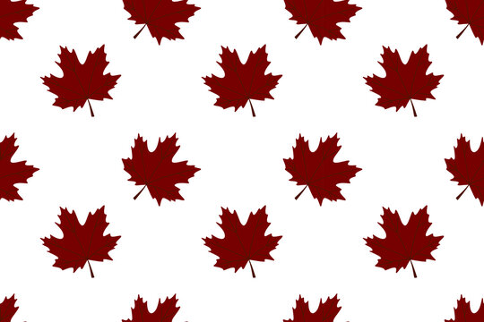 Crimson maple leaves on white background, light sparse seamless pattern