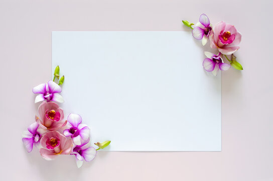 Empty white paper for text with orchids flower of two coner on pastel pink background.