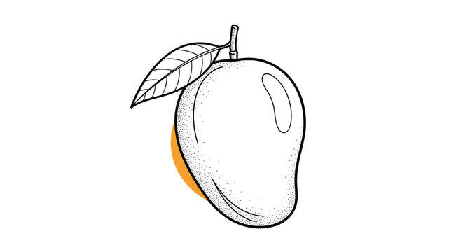 Hand drawn line art of a whole mango fruit with a green leaf and a small orange color accent, showcasing the shape and texture of the fruit.