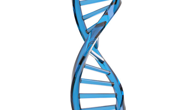 Shiny blue DNA helix structure, isolated on transparent background