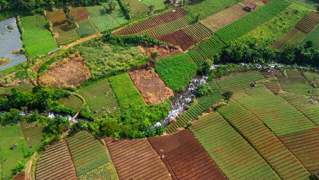Aerial view of lush terraced agricultural fields and a winding river flowing through the fertile landscape in Sukabumi, West Java, Indonesia.