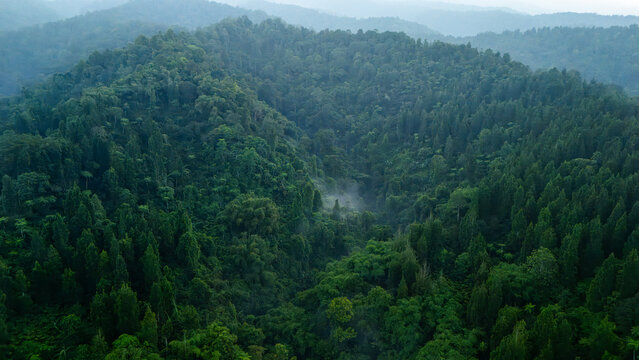 Aerial view of dense tropical rainforest covering rolling hills with light mist rising from the valley floor Sukabumi, West Java, Indonesia.