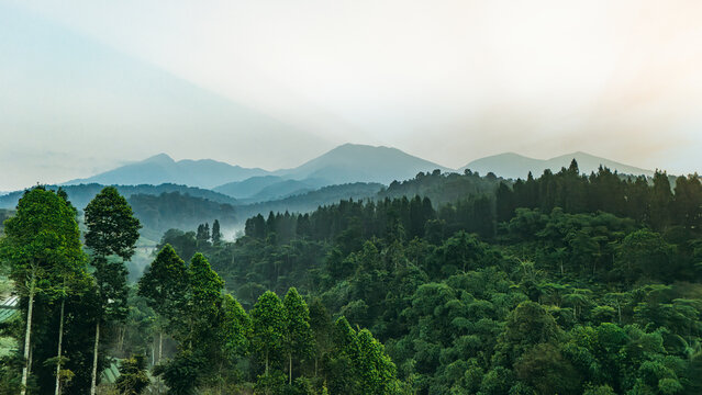 Aerial view of lush tropical forest and rolling green hills with misty mountains under a soft hazy sky in Sukabumi, West Java, Indonesia.