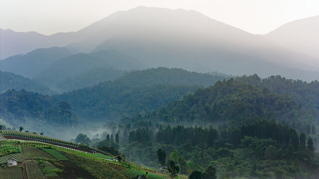 Aerial view of misty mountains and terraced agricultural fields under a soft morning light in Sukabumi, West Java, Indonesia.